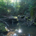 Honey Creek Loop trail-2.jpg